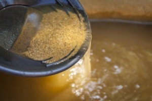 How to Pan for Gold for Fun and —Maybe — for Profit