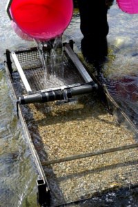 gold panning kit