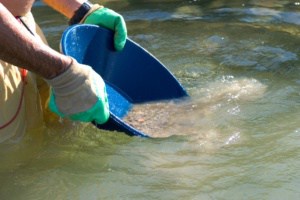 gold panning kit